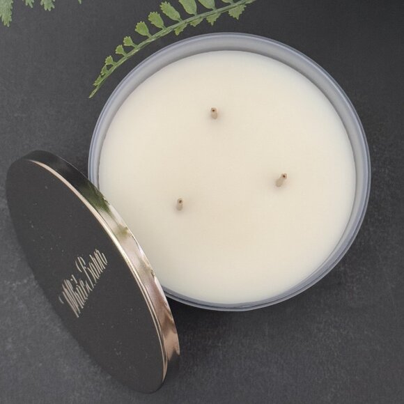 BBW Eucalyptus Snowfall White Barn Bath & Body Works 3 Wick Candle - Picture 6 of 10